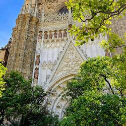 La catedral