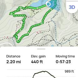 This is our first hike