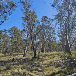 Enjoyable hike down the hill