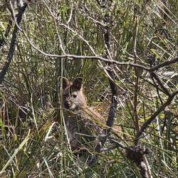 Let me help you with a 10x zoom