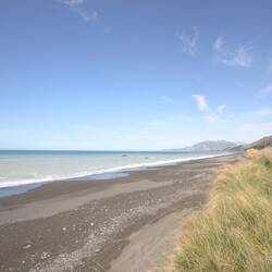 auf der Straße am Pazifik nach Kaikoura