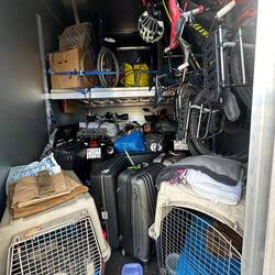 Hinten die Bikes, vorne die Hunde