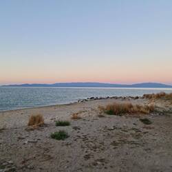 Abends und keine Stechpieksies. Wie genial