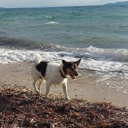 Aber Spass macht es trotzdem