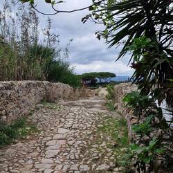 Die alte Brücke mussten wir uns natürlich näher ansehen.