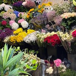 Beautiful flower shop on Île Saint-Louis