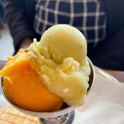 Delicious Berthillon Sorbet