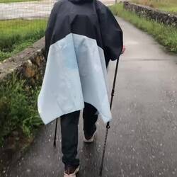 Quasimodo mastering trekking poles