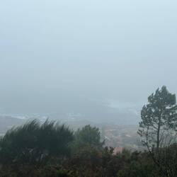 Apparently the view is to die for