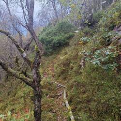 Wanderung auf schwer zu findenden Pfaden an der schroffen Felsküste.