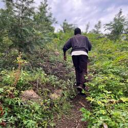 Hügelerklimmung mit James