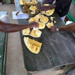 Um weniger klebrige Finger zu bekommen, wird die Jackfruit mit einen Stück Papier abgestrichen