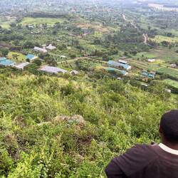 Das Projektgebiet von oben