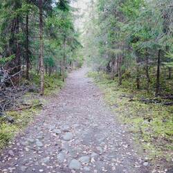 Wanderung im Norra Kvill Nationalpark