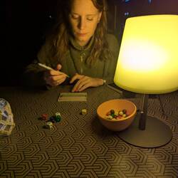 Wie kann man als Paar zu zweit spielen ohne sich zu streiten. Ist es theoretisch möglich?