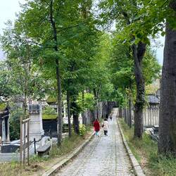 Avenues within the cemetery you can stroll along