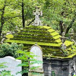 Liked the look of the moss coating on this grave