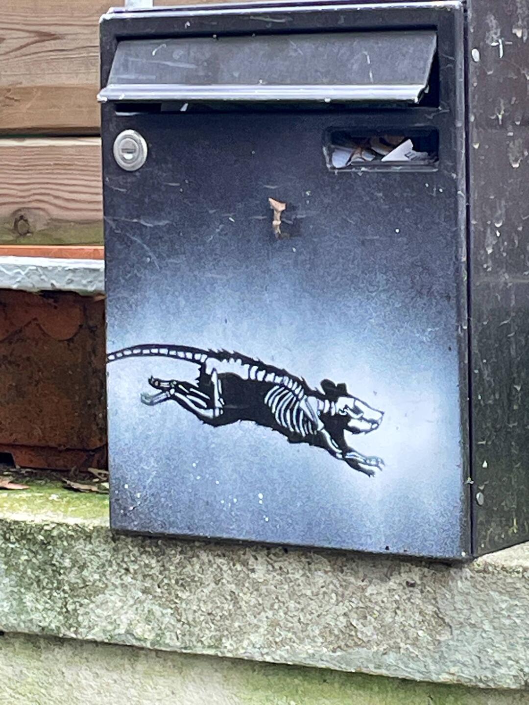 Mr Byste's rat has remained on this letterbox for over 3 years