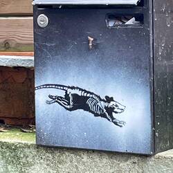Mr Byste's rat has remained on this letterbox for over 3 years