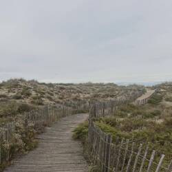 Regelmäßig führen Wege vom Radweg durch die Dünen ans Meer