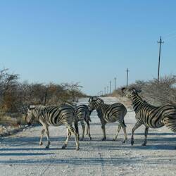 Wer hat hier wohl das Sagen?