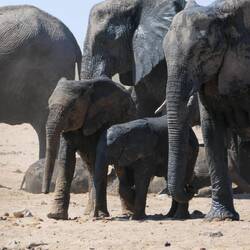 Lieber mal so tun, als wäre nichts gewesen...