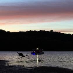 Last night coming back from last trip to shore