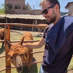 Manu mit Alpaka 😍