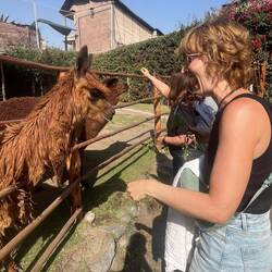 Lisa und Alpaka - einer von Beiden hat Spaß 😂