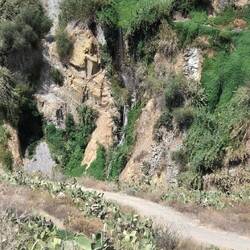 In der Oase ist es so schön grün inklusive Wasserfall