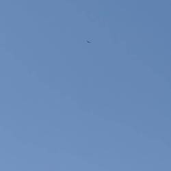 Seht ihr den Kondor?