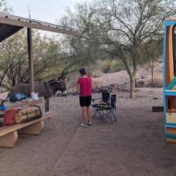 So wild auch wieder nicht?!