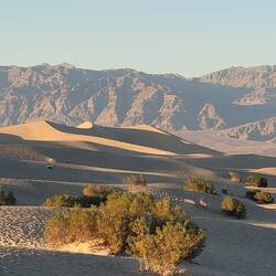 Mesquite Flat Sand Dunes, CA
