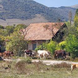 Wir starten auf eine erste Wanderung. Sehr ursprünglich!
