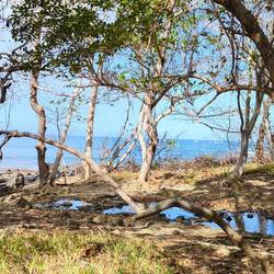 Flußüberquerung gelungen 😁