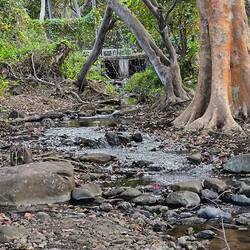der Fluß nur noch ein Rinnsal