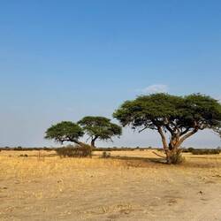 Malerische afrikanische Landschaft