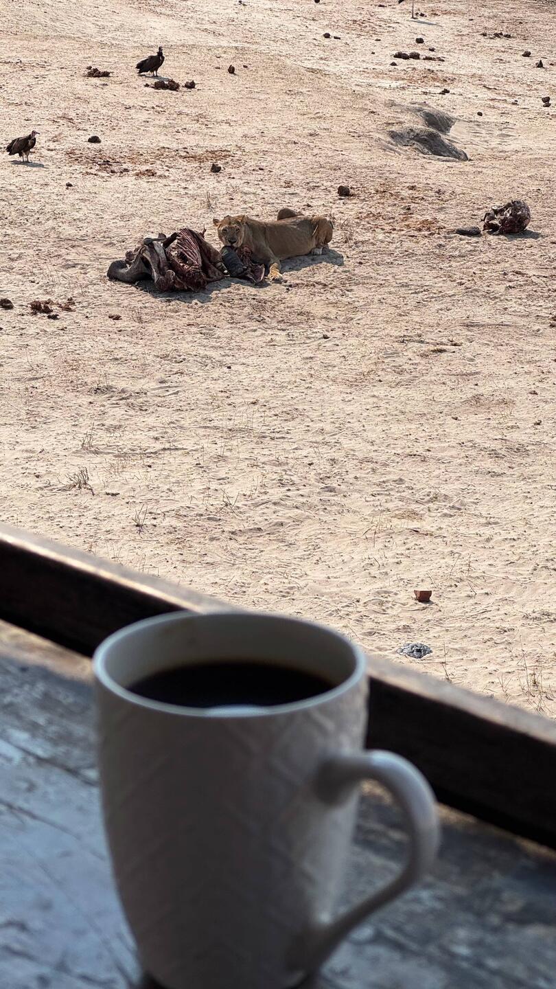 Kaffee mit Ausblick