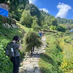 A local carrying grass