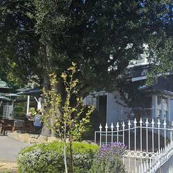 For lunch we went to Cascade Brewery restaurant