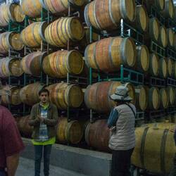 Colchagua Valley winery visit.