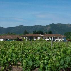 Colchagua Valley winery visit.