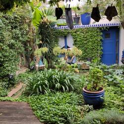 Unser Hausgarten