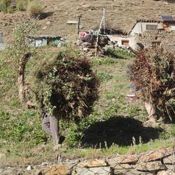 Finde die zwei Lastenträger