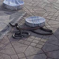 Schlangenbeschwörer