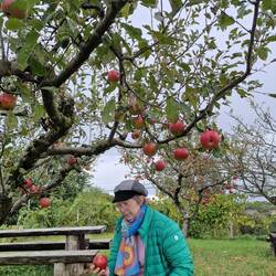 Apfelklau 🍎 😉