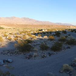 Mesquite Campground nur für uns! 😍