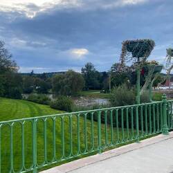 Wie das lockige Haar im Wind 💨. Das Farn 😂