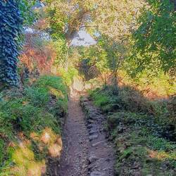 Das Foto ist ganz echt und unbearbeitet. Der Weg vom Tumulus zu den Steinfeldern