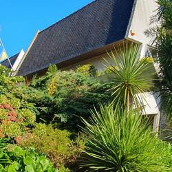 Ein Eindruck, was hier dank Golfstrom und Atlantik alles wächst